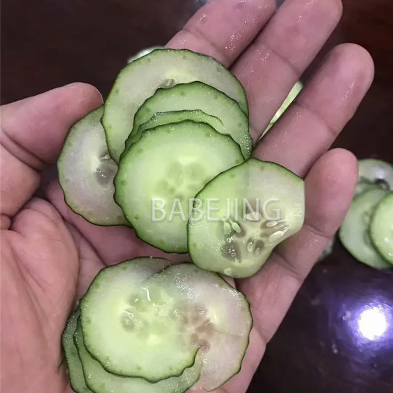 Electric Mini Scallion Chopper – обзор и цена Commercial Kitchen Appliances